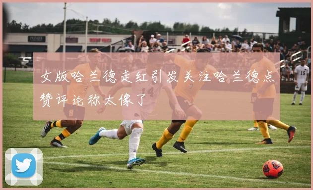 女版哈兰德走红引发关注哈兰德点赞评论称太像了
