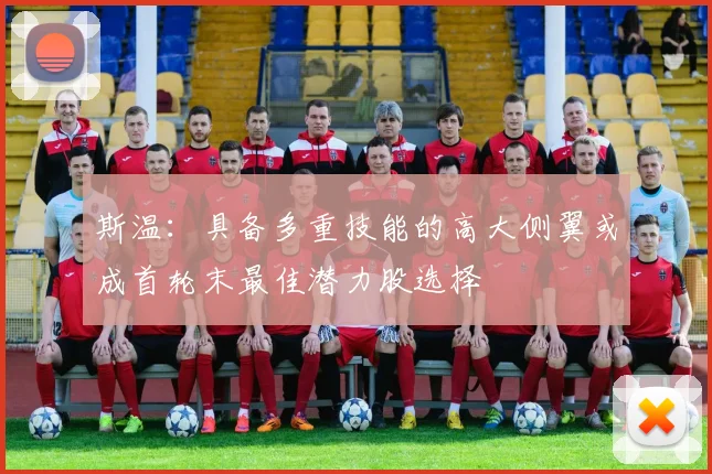 斯温：具备多重技能的高大侧翼或成首轮末最佳潜力股选择